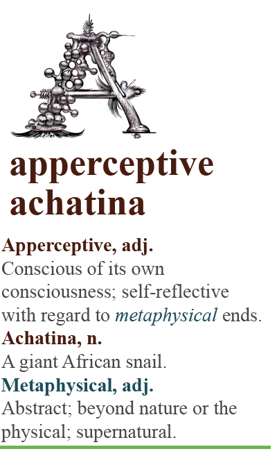 Apperceptive-Achatina