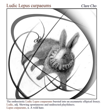 Clare Cho's illustration of Ludic Lepus curpaeums